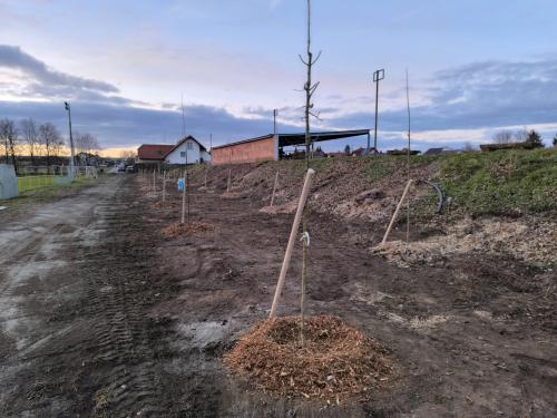 Obnova porostů na fotbalovém hřišti
